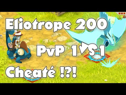 comment monter eliotrope dofus