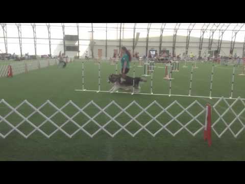 Masters Jumpers 6/27/14 - NQ