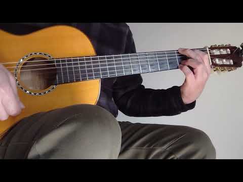 a day in the life  dominic miller version cover