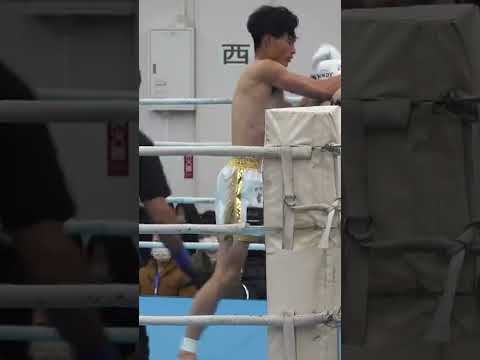 我如古選手 得意の右パンチからヒザのコンビネーション #shorts