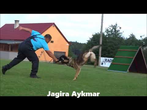 Jagira Aykmar - obrana 5/2018