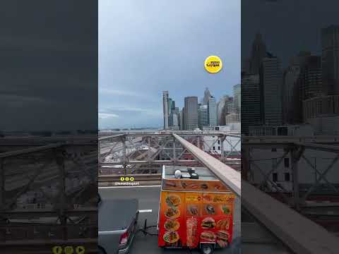 رحلة ودادي إلى جسر بروكلين.. أيقونة نيويورك في قلب الجولة