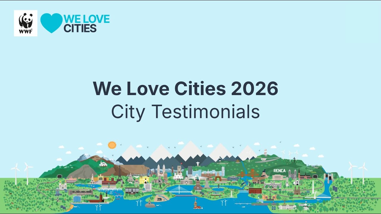 City examples: previous WLC campaigns