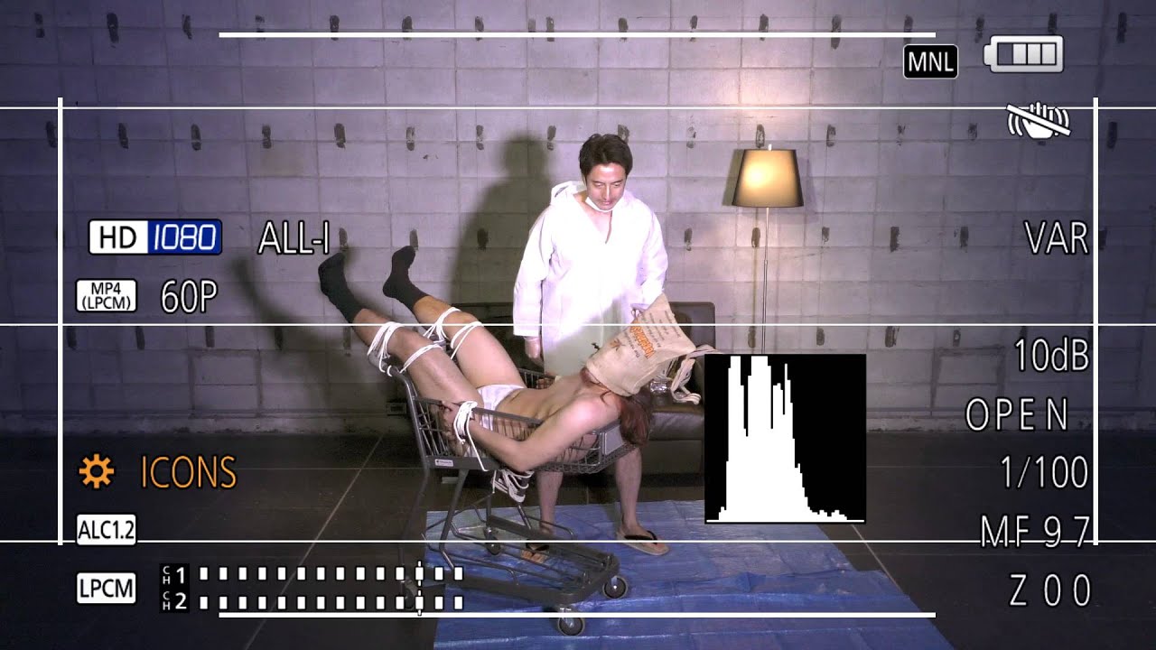 全力ネットショッキング1〜和歌山の梅干し編〜