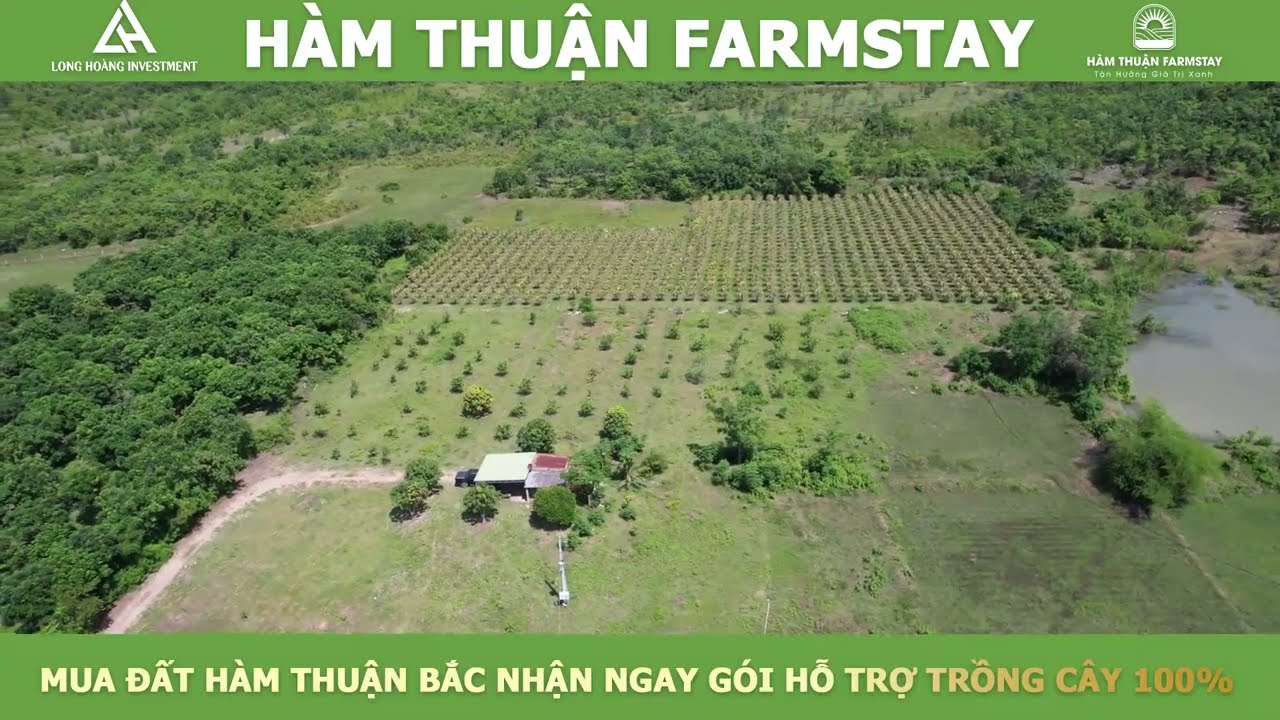 MUA ĐẤT HÀM THUẬN FARMSTAY TẶNG GÓI TRỒNG CÂY 100% DIỆN TÍCH ĐẤT