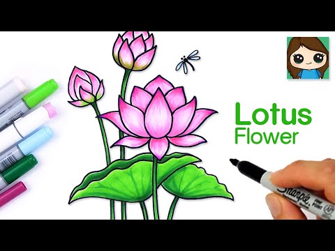 How to Draw a Lotus Flower Easy