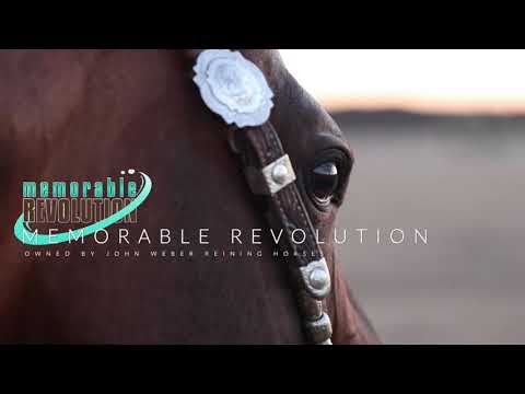 Memorable Revolution