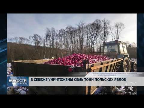 18.03.2019 / Семь тонн польских яблок уничножили в Себеже