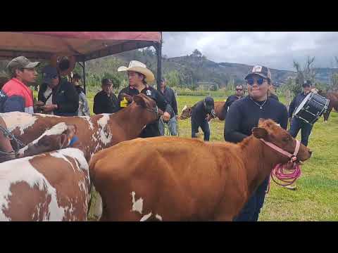 Aquiteven  :  9.154  IZA BOYACÁ, EN UN VIVIR  DE FERIA GANADERA Y COMERCIAL  DEL 2.026. 
