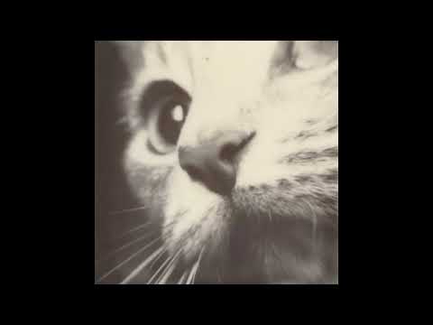 O TRUSTME - ทั้งที่รู้ I Know (Audio)