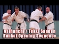 Practical Kata Bunkai Naihanchi Tekki Sandan Opening Sequence