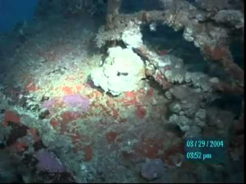 Christian Francis Finding HMS Victoria The Vertical Wreck