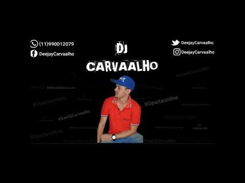 Mc Denny & Mc Magrinho - Mandeladamente ((Dj Carvaalho & Dj Pires)) 2018