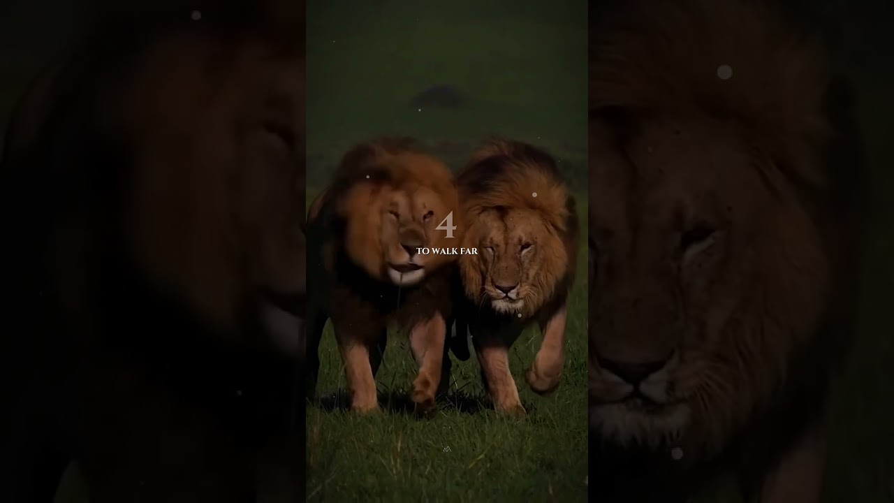 Five undeniable truths said by Steve Jobs 💯❤️#mindset #motivation #motivationalvideo #success