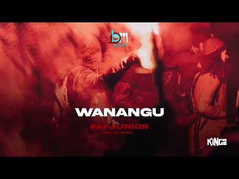 Fai Junior - Wanangu (official music audio)