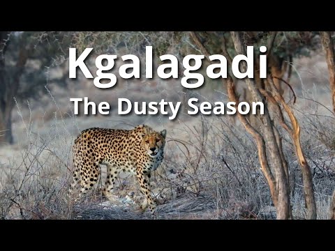 Kgalagadi - the Dusty Season Ep1 (or 5-day cricket in the Kgalagadi)