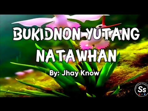 BUKIDNON YUTANG NATAWHAN / By: Jhay Know / music video with lyrics