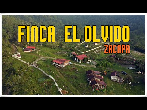 Finca el Olvido, Sierra de Las Minas - Zacapa, Guatemala