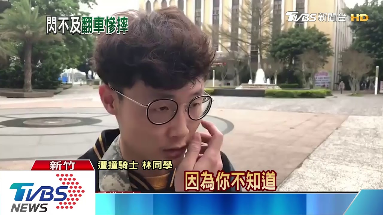 毛小孩衝上對向車道 騎士連人帶車摔飛