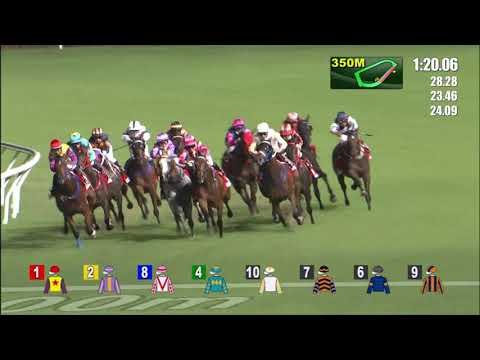 15/9/2021 (34) Fa Fa - Vincent Ho