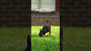 Download lagu Is the Sony A7II still good? mp3