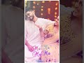 Mama Mama Kuda Vaama Love Status Vedio Tamil Album Love Status Vedio