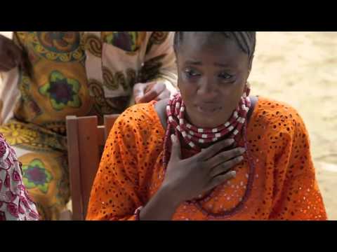 Chipper KONTY / Rocky GOLD - koi bin