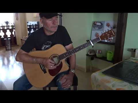 Westerngitarre und Country - Harley Benton D-120CE NT