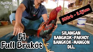Download lagu Ayam Silangan Bangkok Pakhoy Mangon F1 Full Brakot ada di Surya Farm  mp3