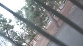 Video Todo Se Va de Ayesha Chanel