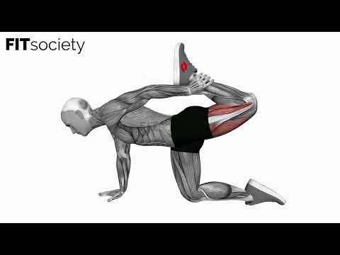 all fours quad stretch