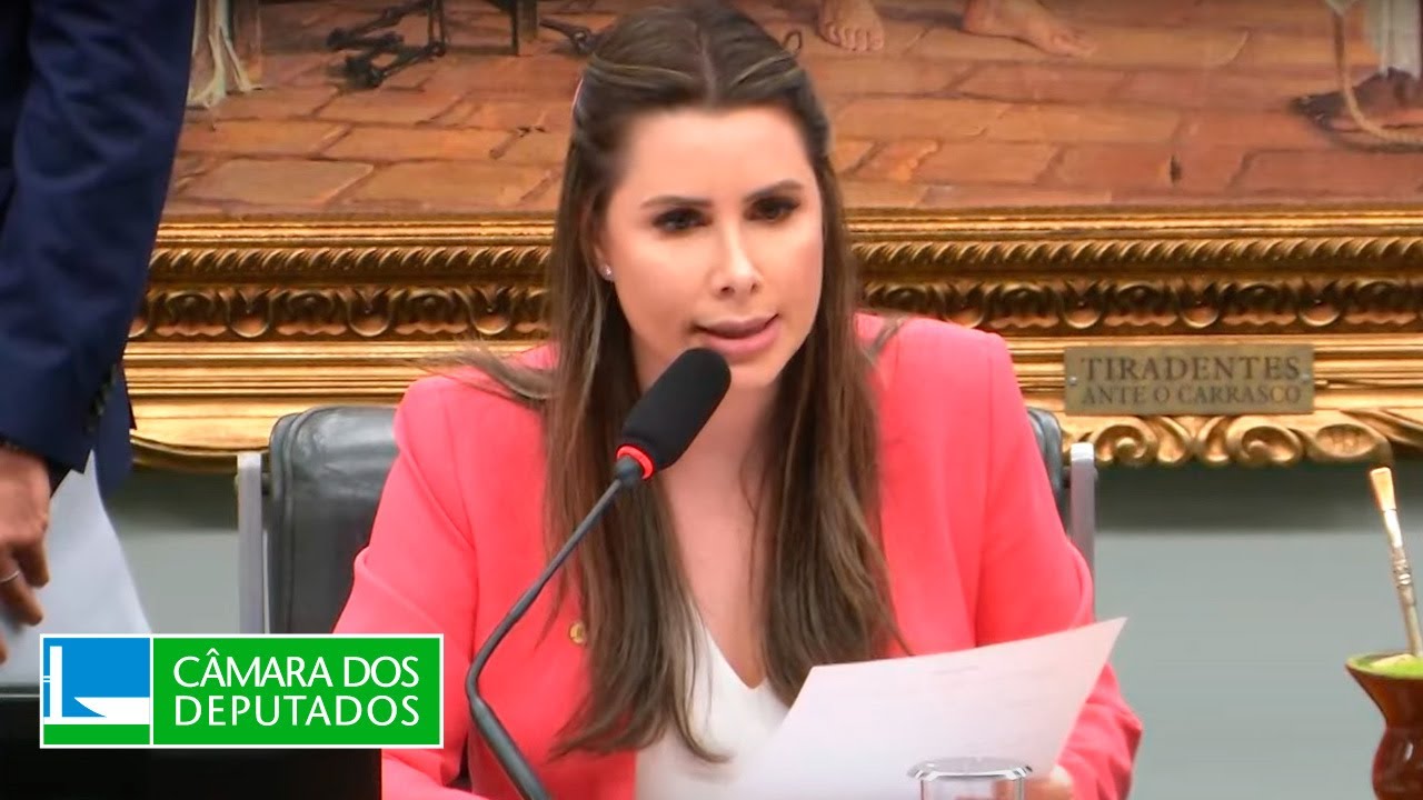 Aborto é tema de debate na comissão de Constituição e Justiça  - 13/11/2024
