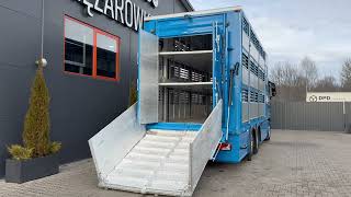 MAN TGX 26.540 // Zabudowa PEZZAIOLI // 3 poziomy hydraulika, livestock truck | Image 4 - Autoline