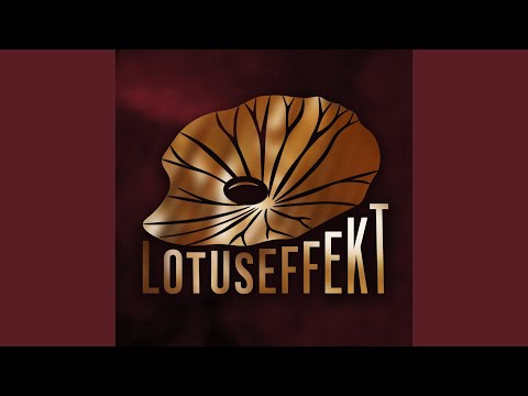 Lotuseffekt