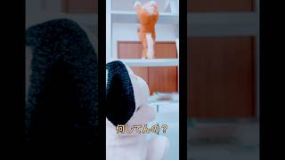 🐶&🐴inやーぱん🇯🇵