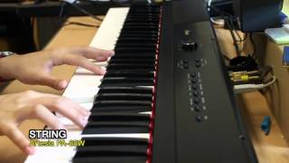 Video thumbnail for Virgin Musical Instruments [Artesia PA-88W] DEMO by 이웃집딴따라