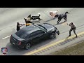 MOST BRUTAL Police Dog Chase Of All Time Don T Ever Run From A Police Dog