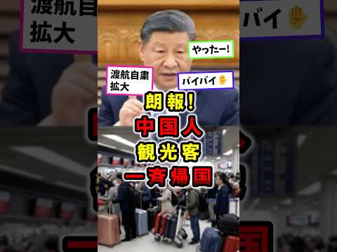【朗報】中国人観光客、一斉帰国！中国政府さらなる限日令｜900便が運休｜2日間で運休が3倍以上に #政治 #高市総理 #shorts