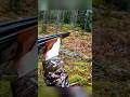 One Shot Deer Hunt In The Forest Hunthowdown Animalhunting Deerhunting Hunting Deerhunt Bowhunt