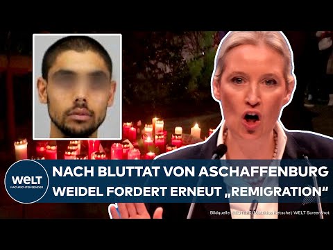 ASCHAFFENBURG: Bluttat! Messerattacke bewegt die deutsche Politik! Weidels AFD fordert "Remigration"