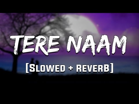 Tere Naam Humne Kiya Hai [Slowed+Reverb] - Udit Narayan, Alka Yagnik | Salman Khan | old Lofi Songs