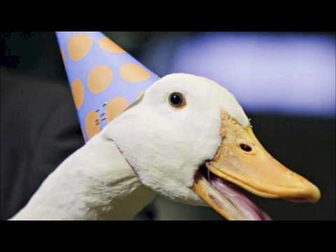 It's You - Duck Sauce [TommyVoz REMIX]