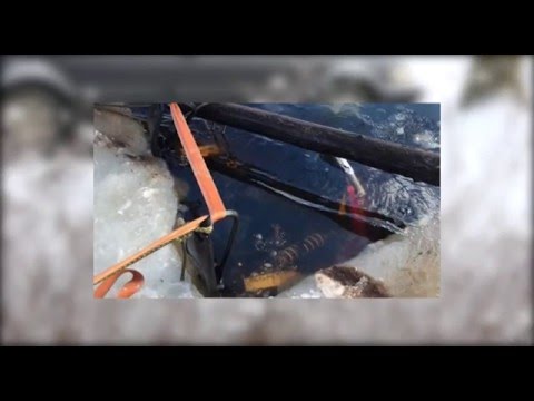 Skulle valla renar - gick genom isen