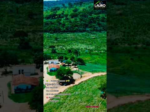 FAZENDA LUXO 342 HECTARES A VENDA MINAS GERAIS PRONTA 90 MIL REAIS POR ALQUEIRE ☎️33.99902.8393