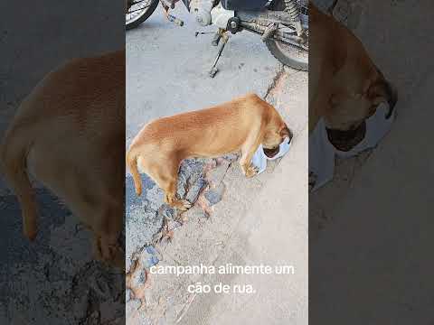 28 de janeiro de 2026