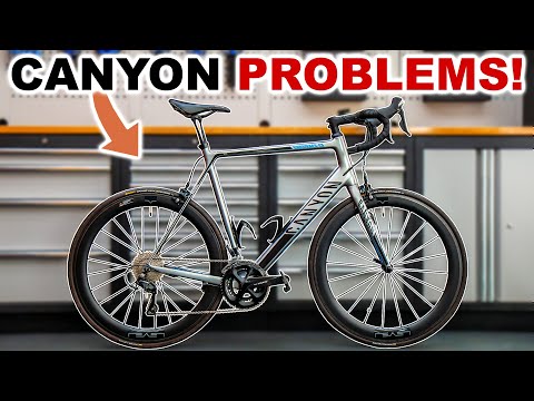 Fixing Canyon Endurace Bearing Problems! Restoration Rebuild! Hub Service & Wheel Bearings! ASMR