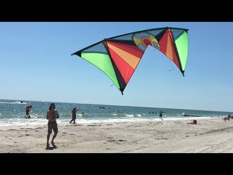 Worlds Greatest Kiting 127 - Alto Kites - Sea Turtles & The Candy Kitchen