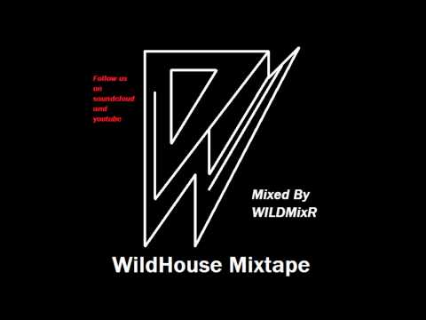 WildHouse Mixtape - Mixed By Ronasm&Ferlecraz VOL 1