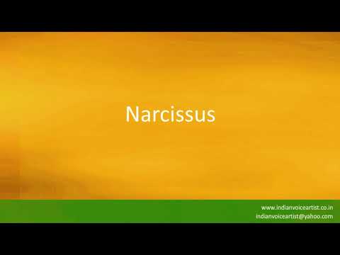 Pronunciation of the word(s) "Narcissus".
