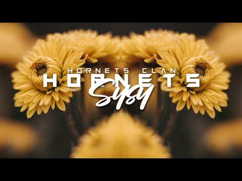 MINTY x SYSY - YOU ARE MINE ( HORNETS REMIX ) 2022